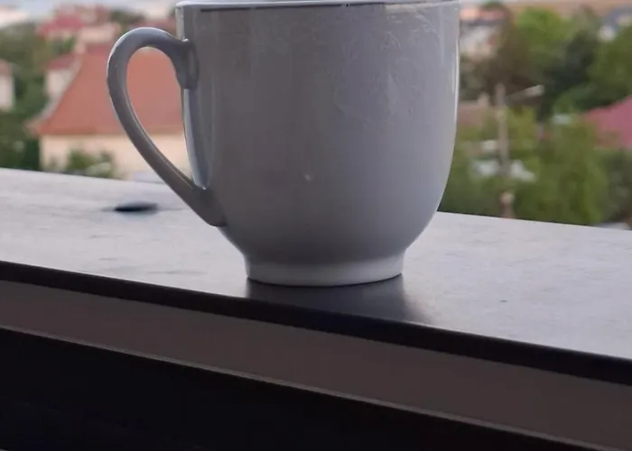 Garsoniera Andrei Apartment